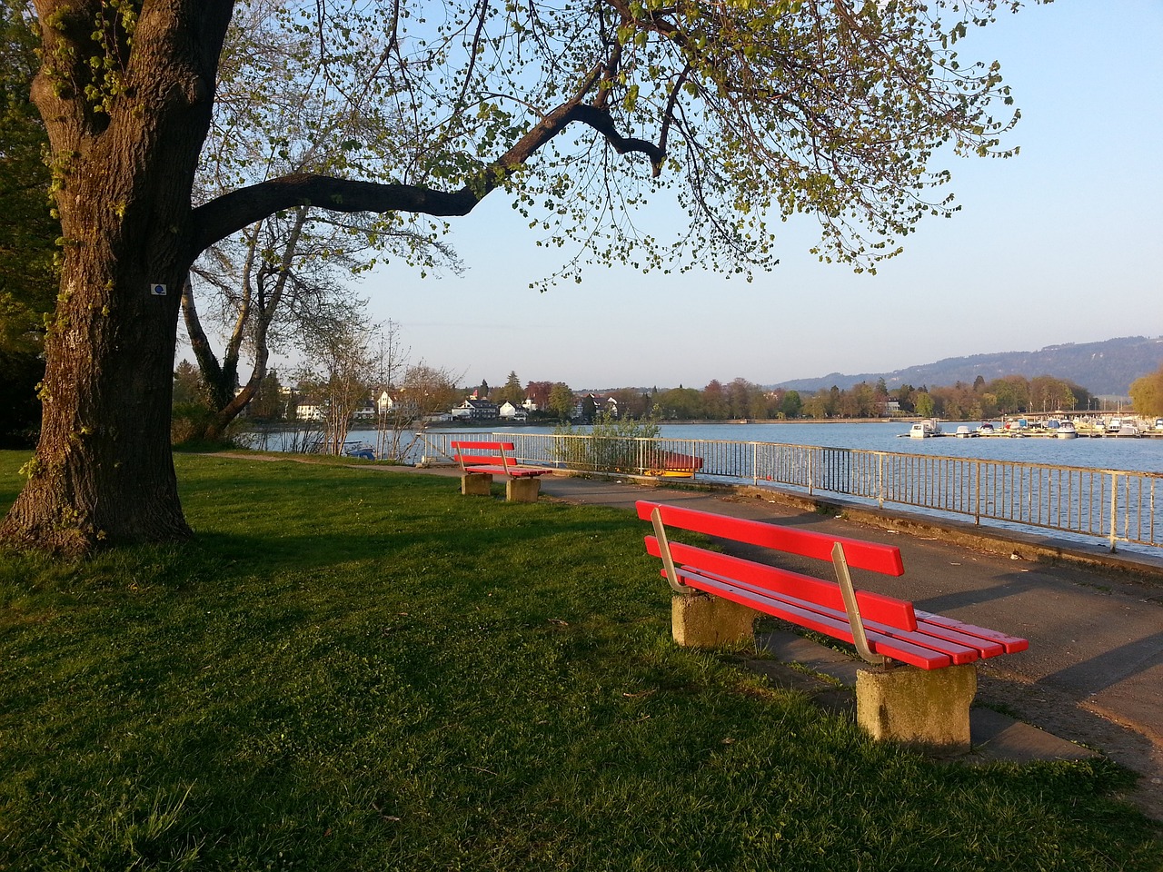 济发展中为 济发展中为