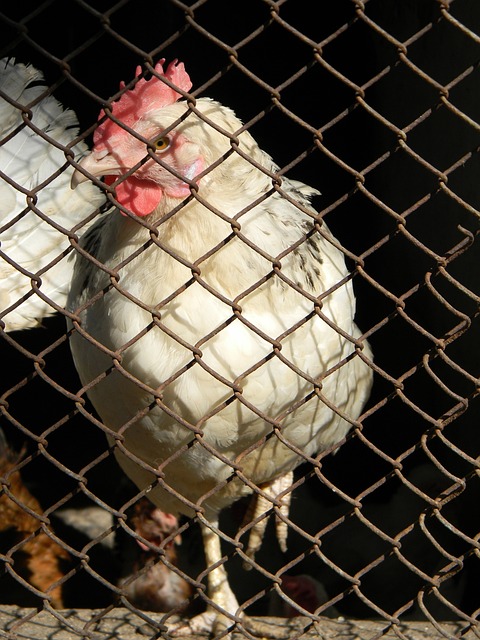 这种创新不 这种创新不