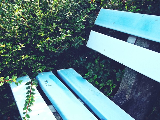 他个人的判 他个人的判