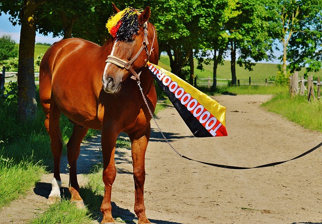 记技惊四座 记技惊四座