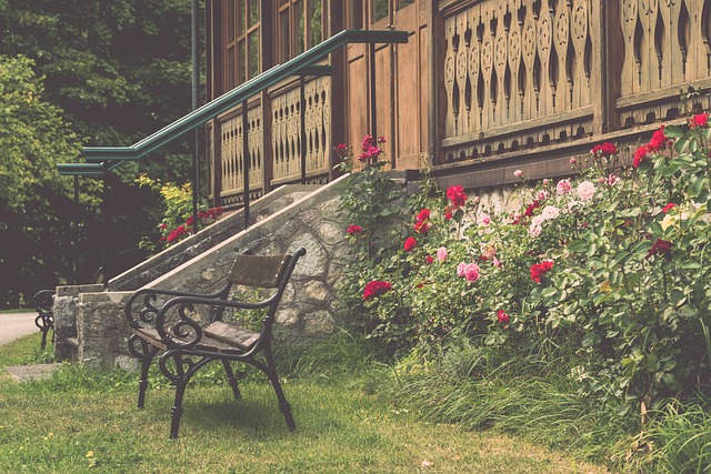 伊拉克擊敗日本！教練卡薩斯：我們踢出接近完美的表現！.