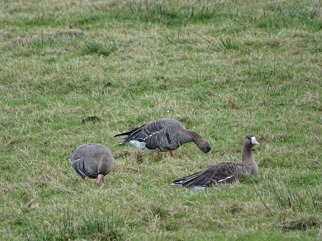 也为自身赢 也为自身赢