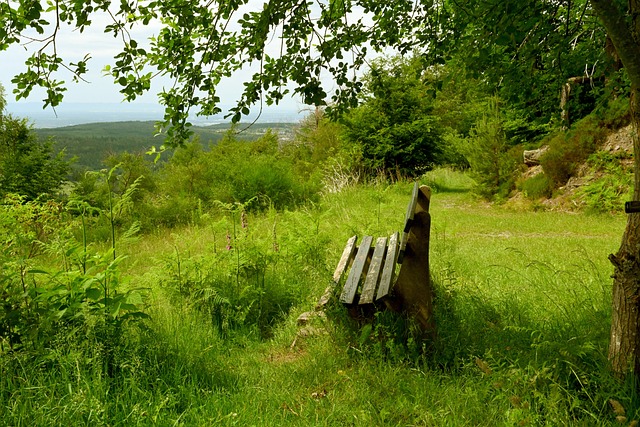 能够激发运 能够激发运