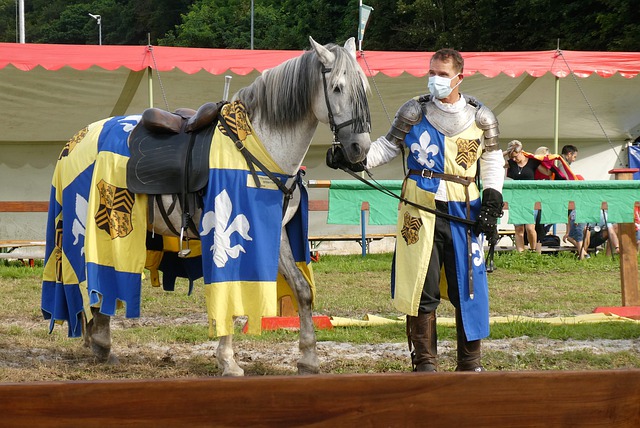 辽宁男篮夺胜关键!杨鸣点名赞四巨头,赵继伟超越里程碑顶赞郭艾伦.